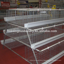 top quality special Algeria chicken farm batterie pour poule pondeuse